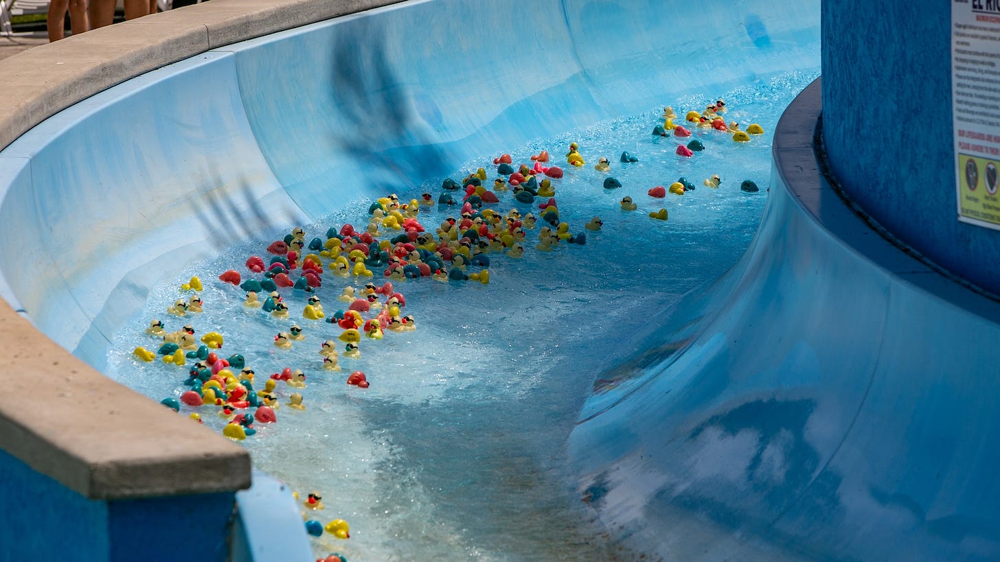 The 24th annual Vista Duck Race was Sunday at the Wave Waterpark. The race is a fundraiser for the park and added an economic development component with participating businesses this year. Photo courtesy Downtown Vista/Maria Bowman The 24th annual Vista Duck Race was Sunday at the Wave Waterpark. The race is a fundraiser for the park and added an economic development component with participating businesses this year. Photo courtesy Downtown Vista/Maria Bowman