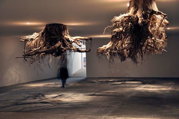 galeria de arte com paredes brancas, com exposição de duas raízes de árvores penduradas no teto e mulher ao fundo, entrando na sala