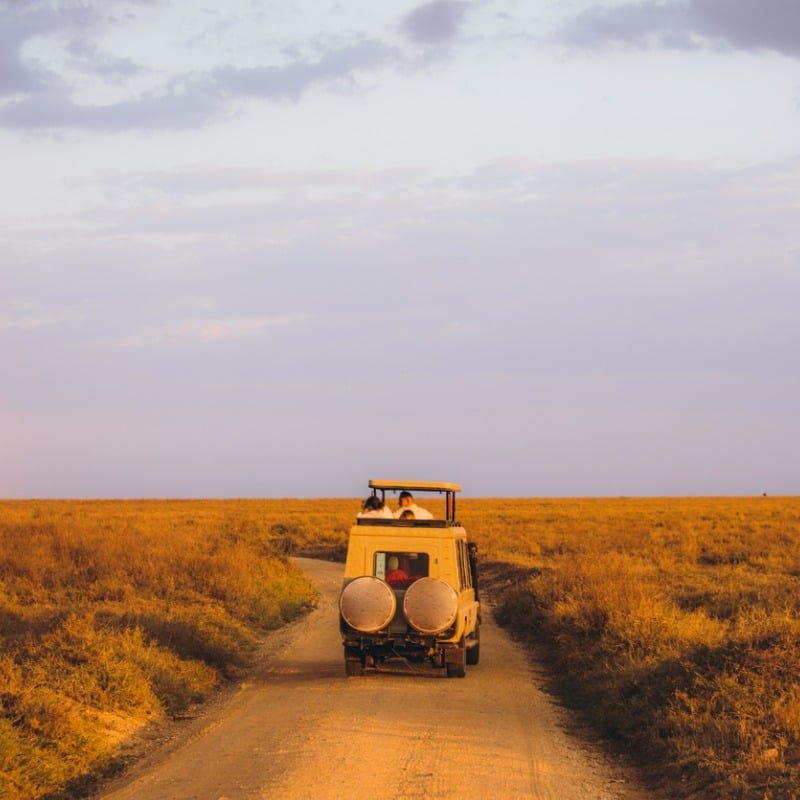 Safari 4x4 Car Driving Through The African Saharan Landscape, Tanzania
