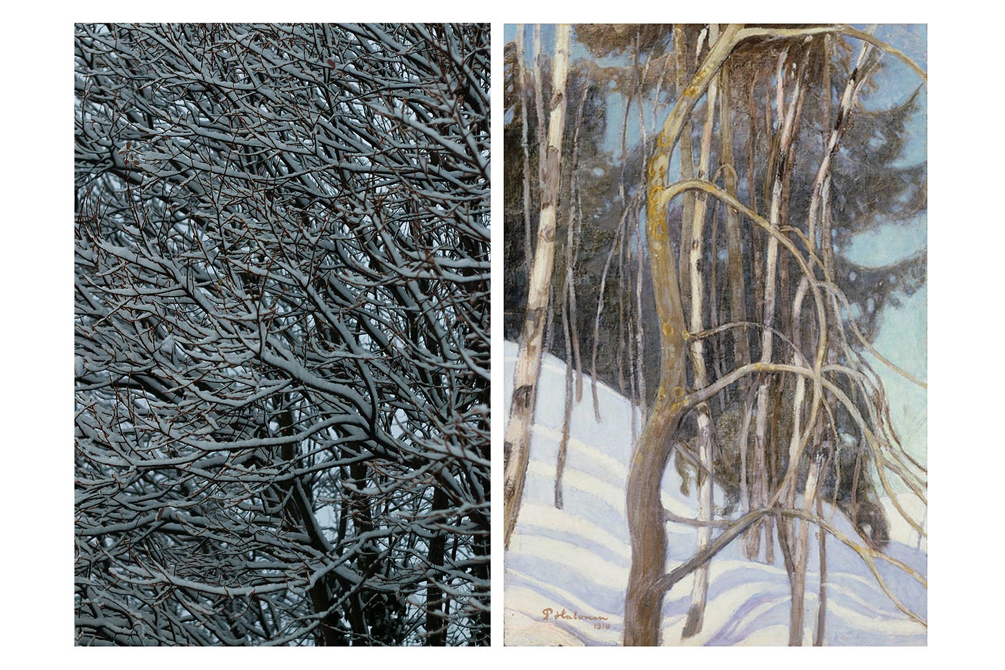 Left photograph is a close up of hundreds of snow covered branches, the light is blue and overcast. The right image is an oil painting of some trees on a snowy hillside, their branches are displayed as a tangled wave. 