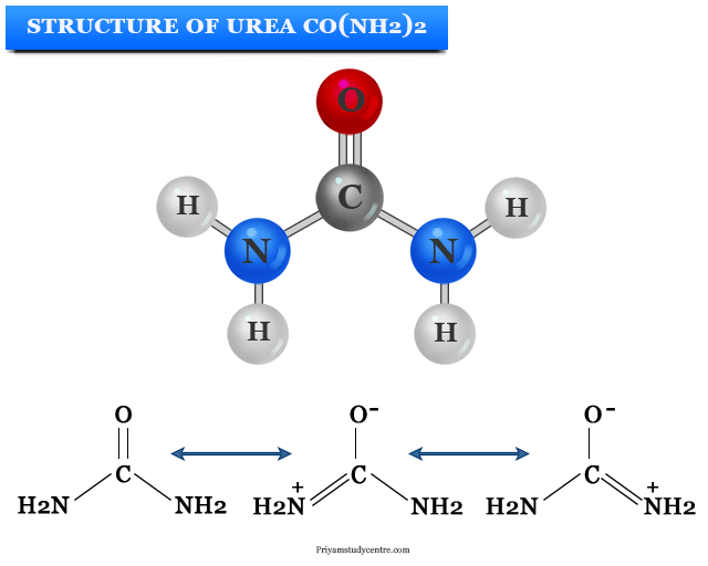 Urea - Formula, Uses, Structure, Production