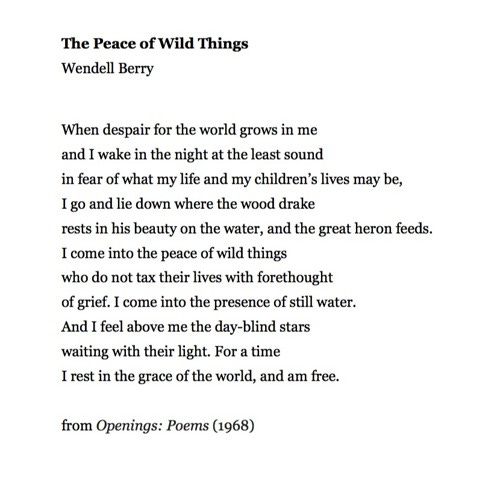 Stream 21 The Peace Of Wild Things by Wendell Berry by Samuel West  #PandemicPoems | Listen online for free on SoundCloud