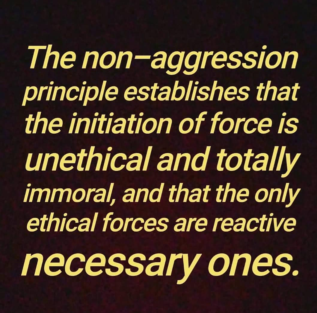 Geoffrey Miller on X: "Everybody's demanding that everybody else disavow  the use of violence. If you're a libertarian like me, you already believe  in the 'Non-Aggression Principle': you never initiate the use