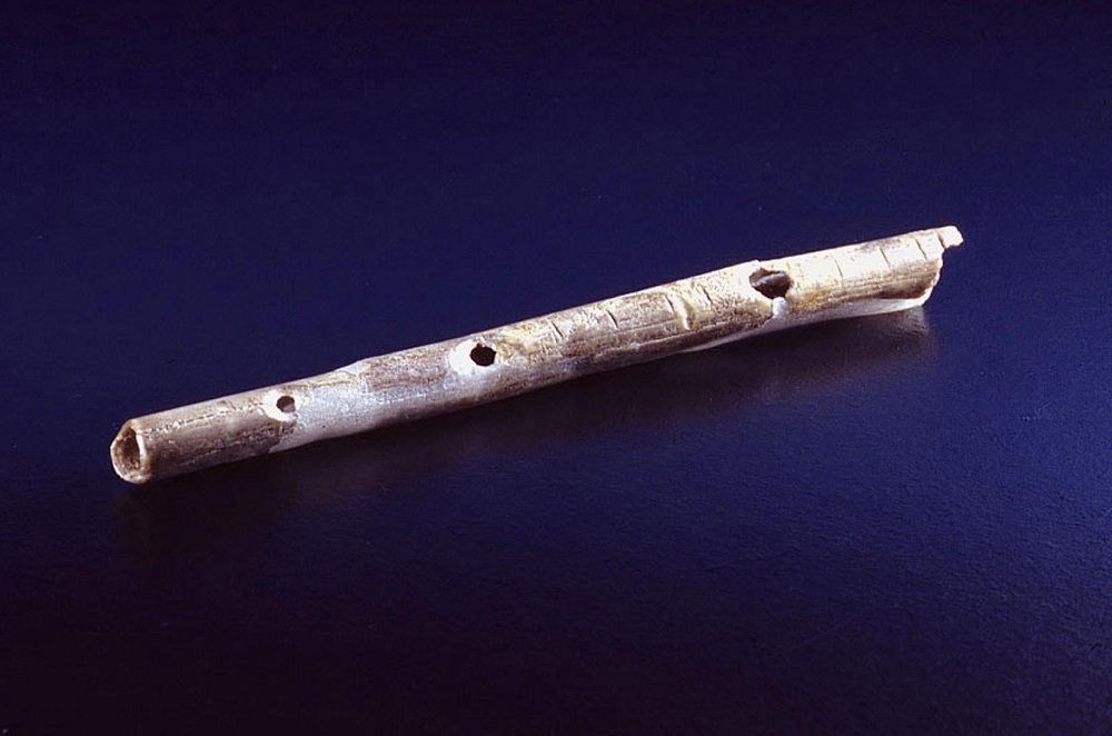 Caveman Flutists? First Instruments Date Back 40,000 Years | Live Science
