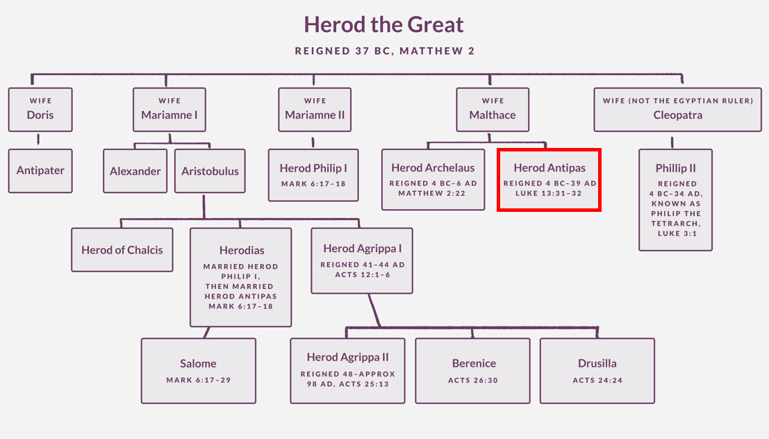 herod antipas in herodian family tree