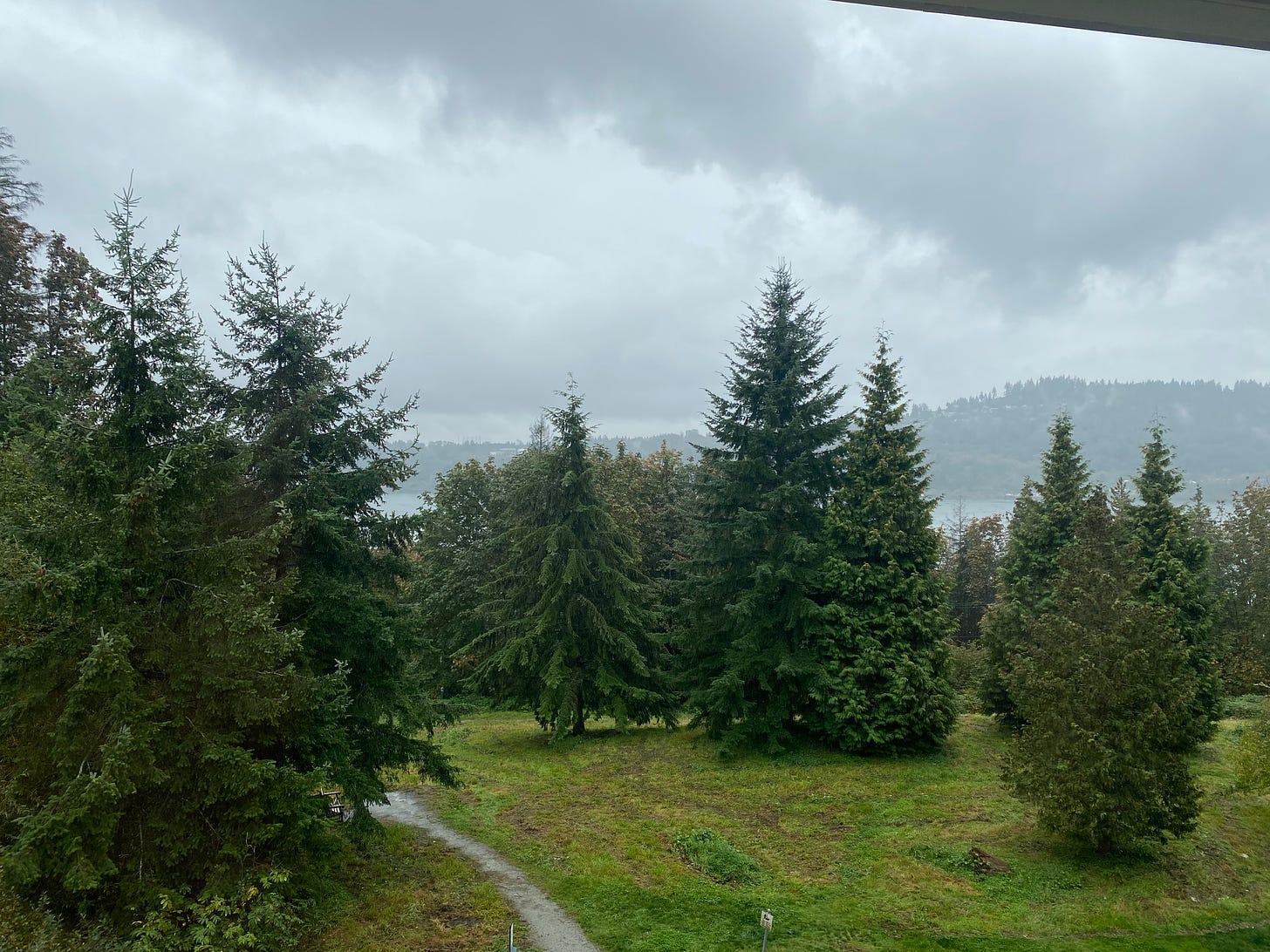 A path through a grassy area next to a forest, with evergreens on both sides. The sky and inlet are both grey in the background, it's misty and rainy.