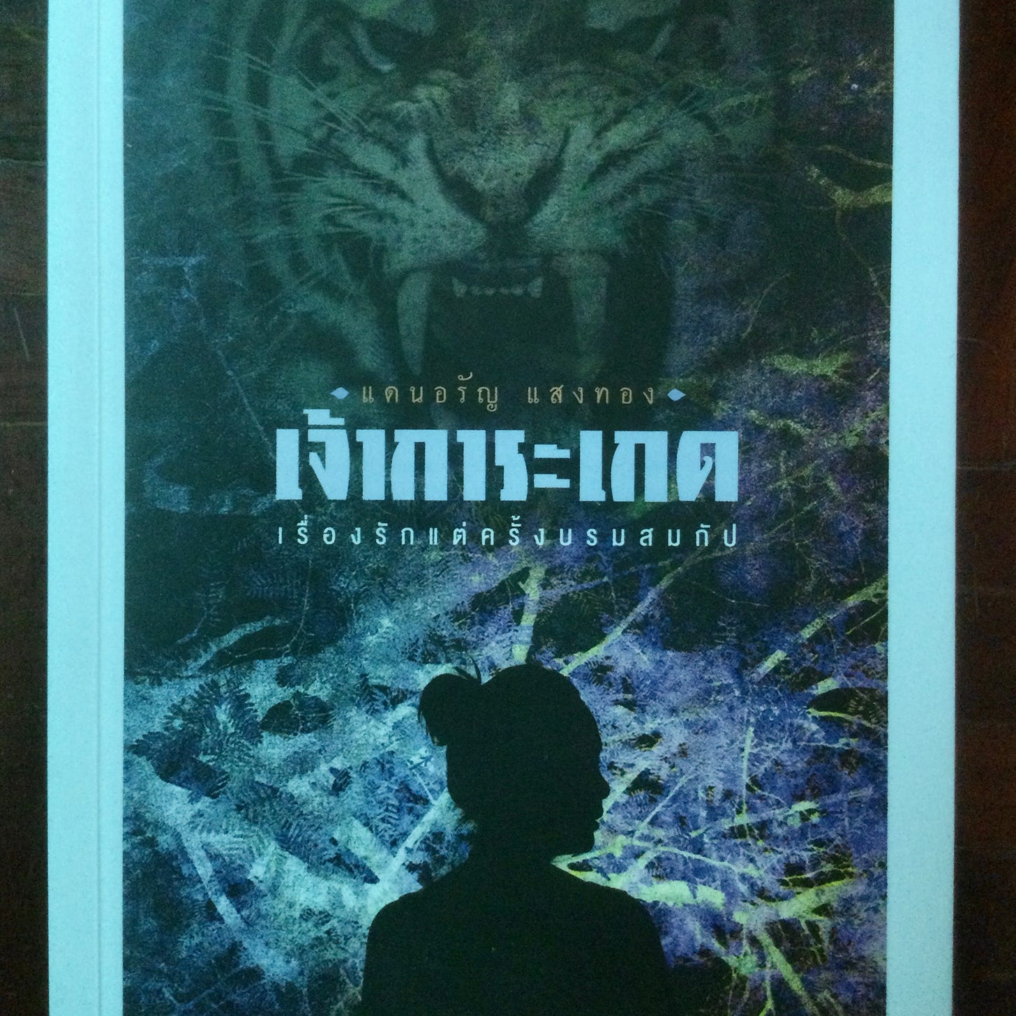 The cover of the Thai language version of the book