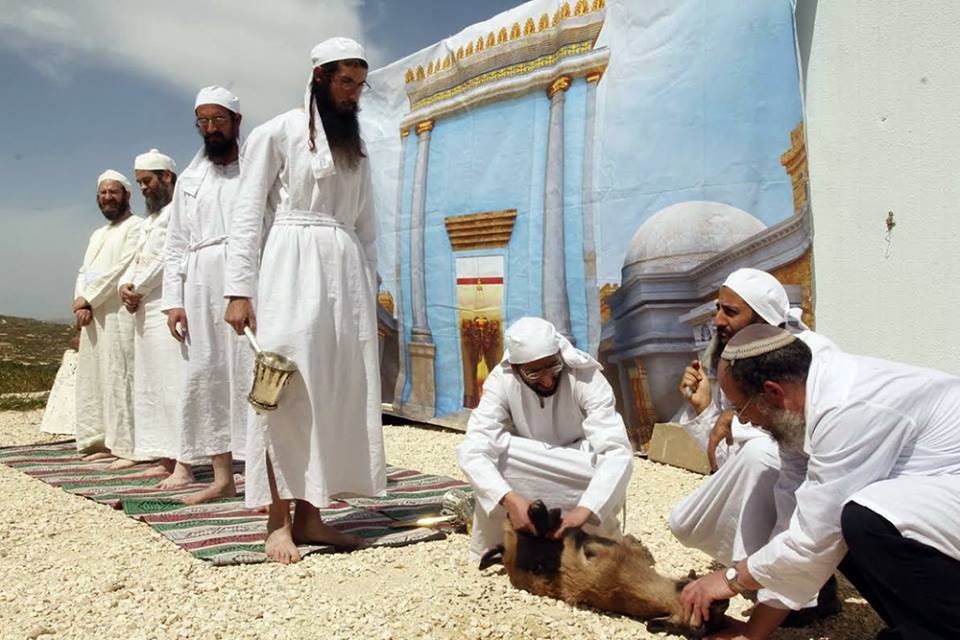 Preparing to make the offering. (Photo: The Temple Institute)