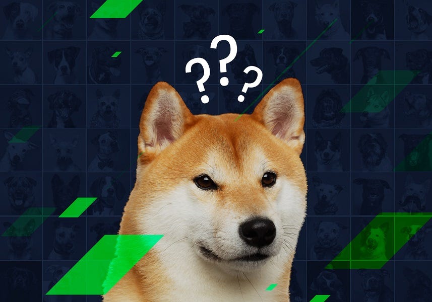 The dog meme coins are back. What happened? | StormGain