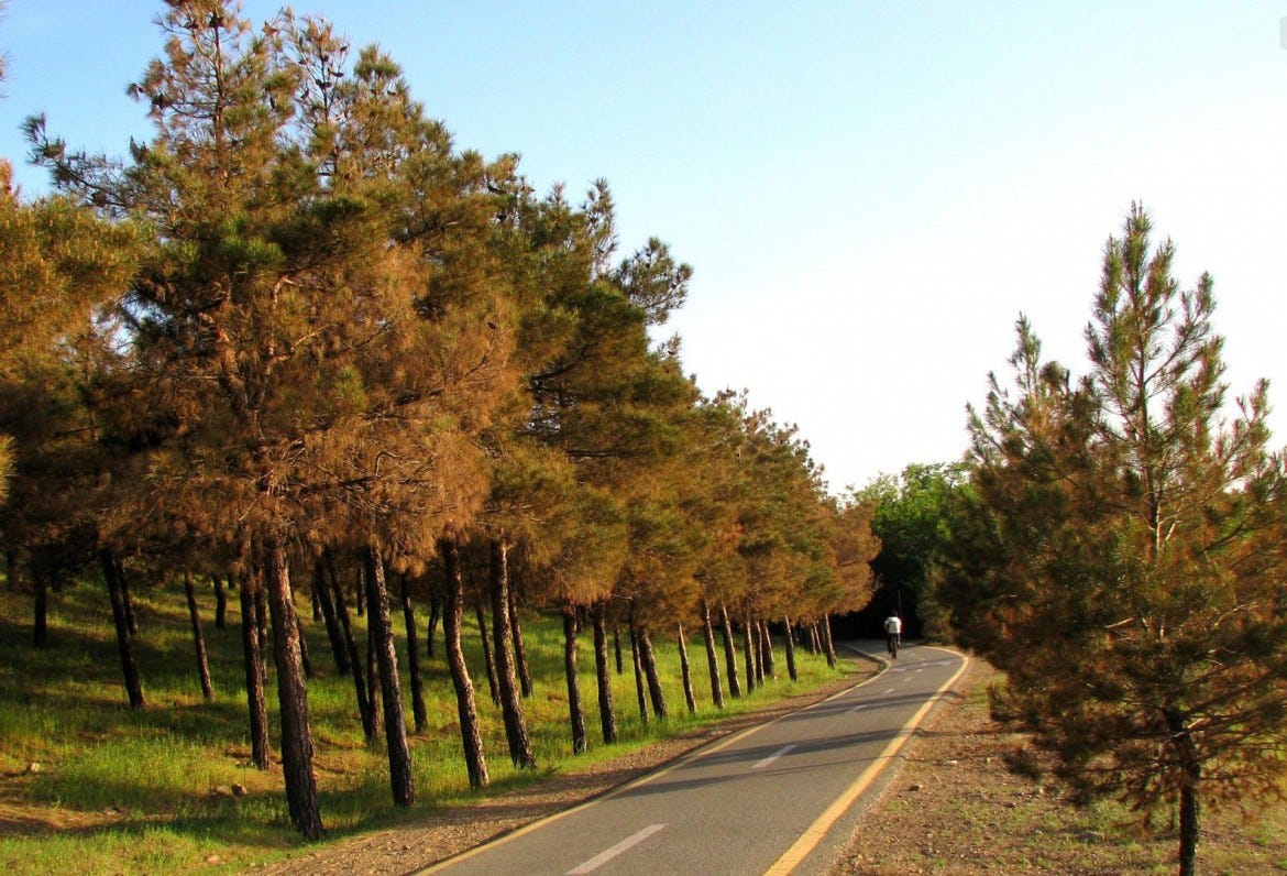 Chitgar Forest Park | Bicycle Friendly Park | Tehran Attraction | Apochi.com