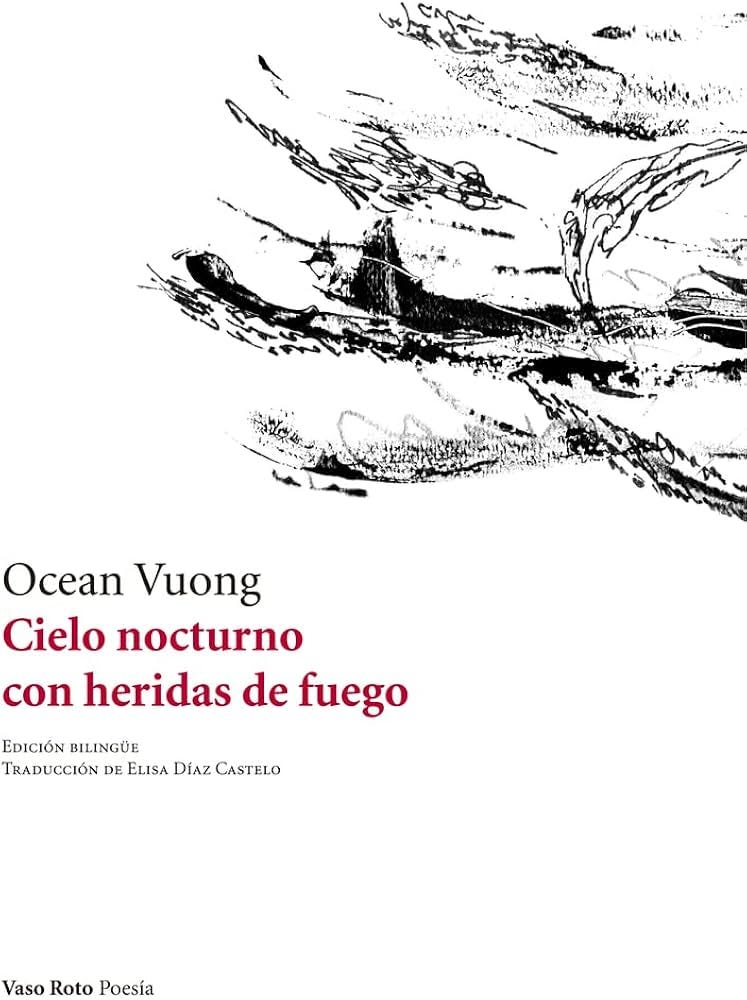Cielo nocturno con heridas de fuego (POESIA) : Vuong, Ocean, Elisa Diaz  Castelo: Amazon.es: Libros