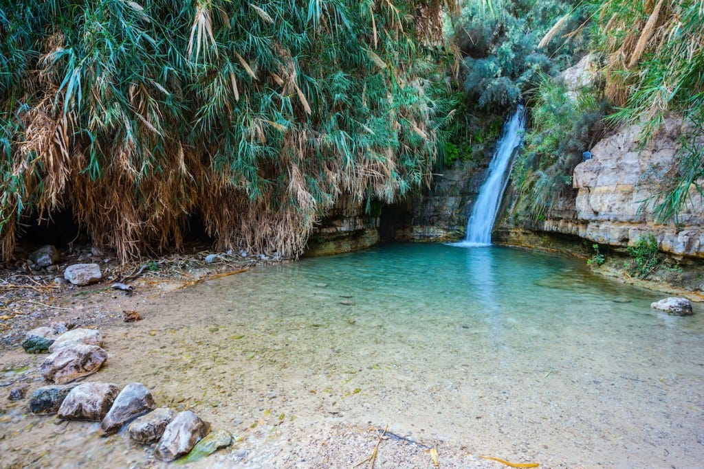 Ein Gedi Nature Reserve | Tourist Israel