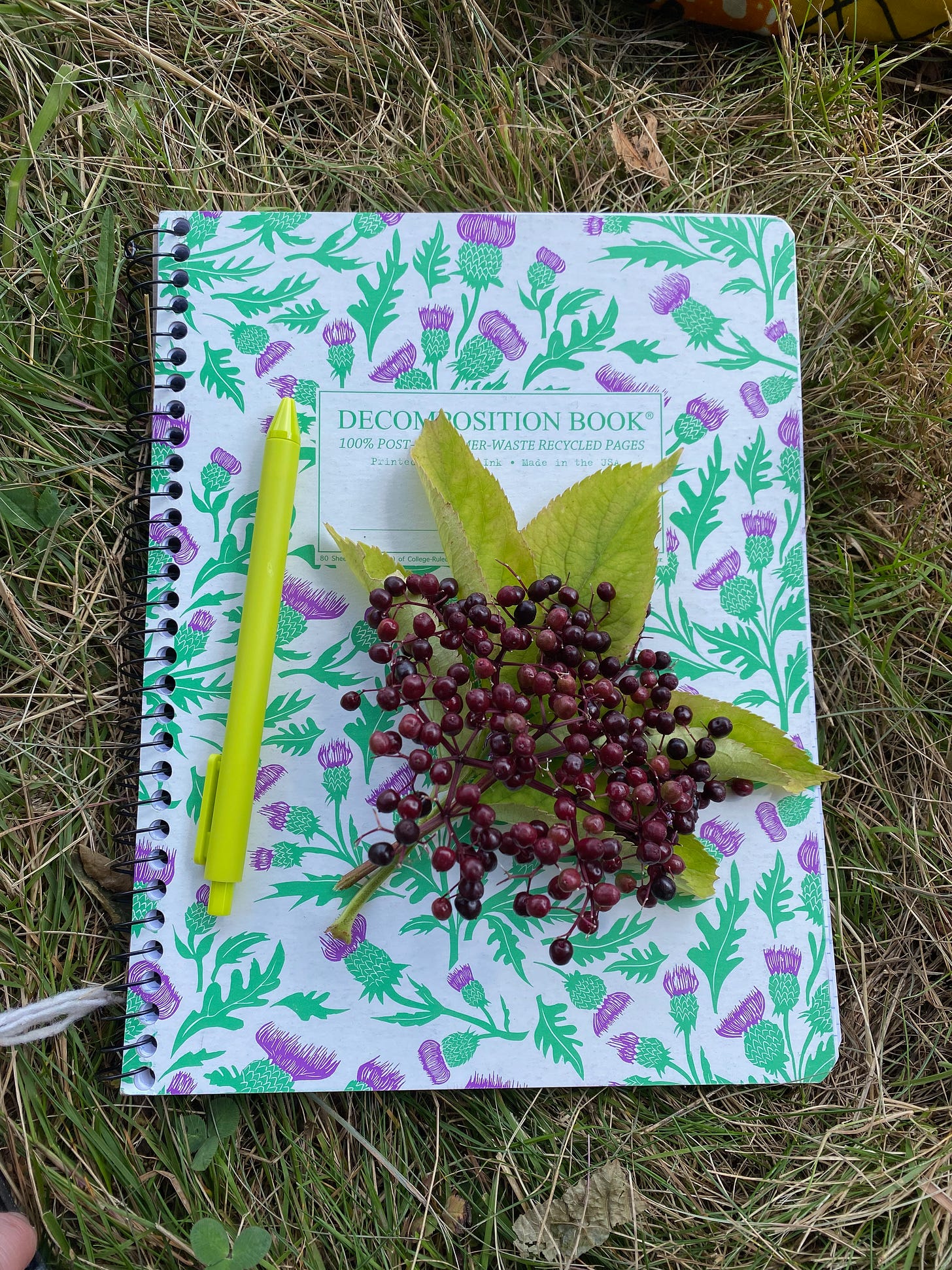 An umbel of purple elderberries and a sprig of leaves sits on top of a composition notebook patterned with thistles.