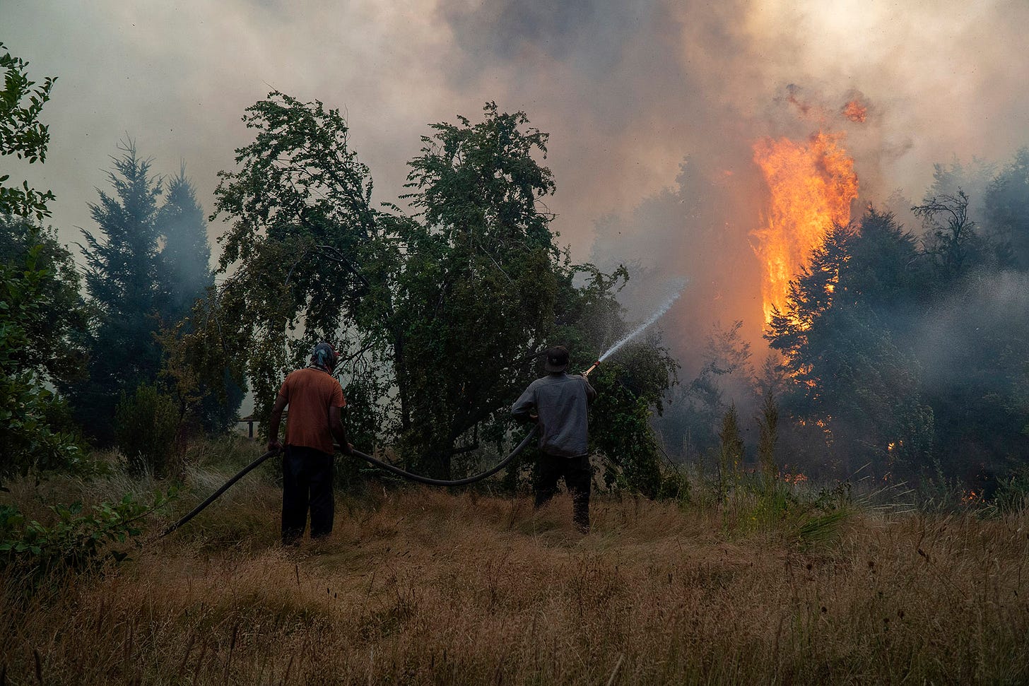 Incendios en la Patagonia. Foto: Marcelo Martínez