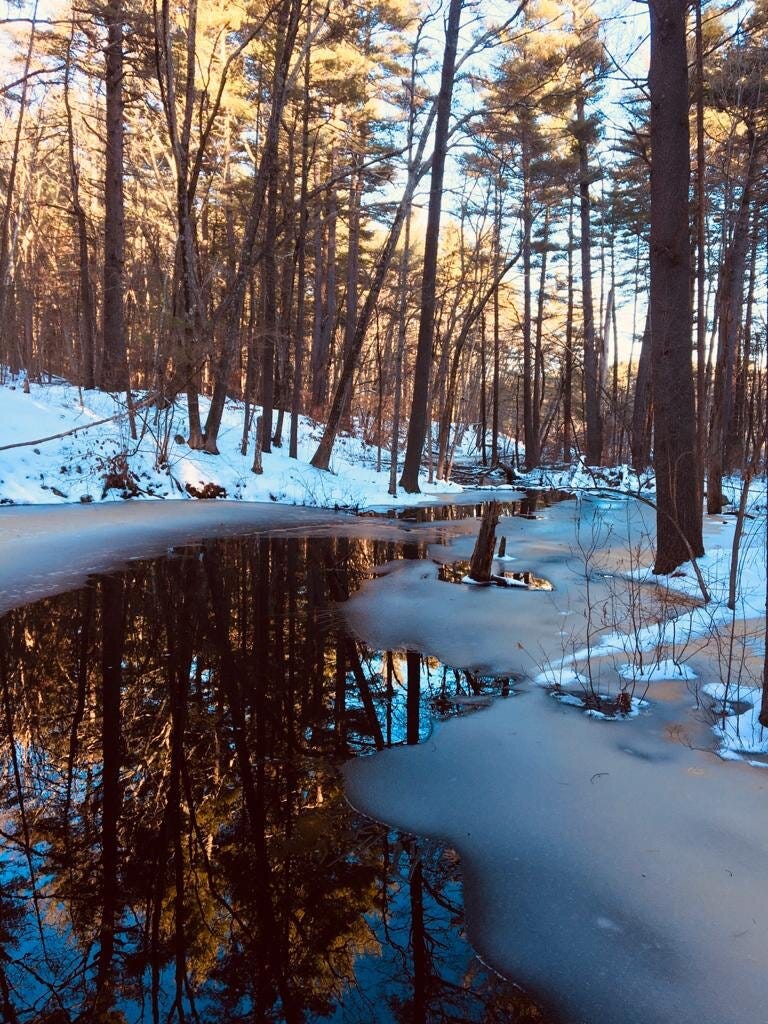 Photo courtesy of Scott Cramer