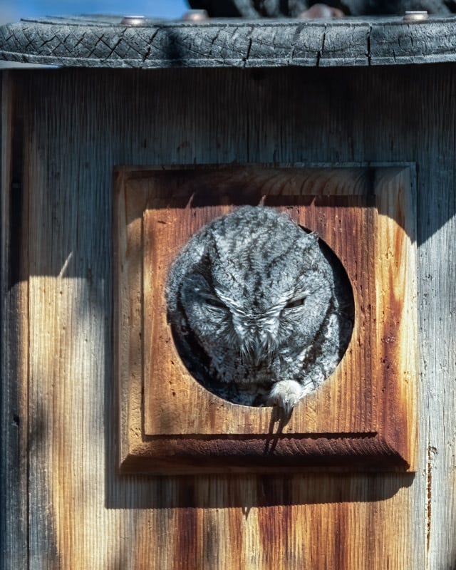 20220126-misc-6-Edit-2.jpg