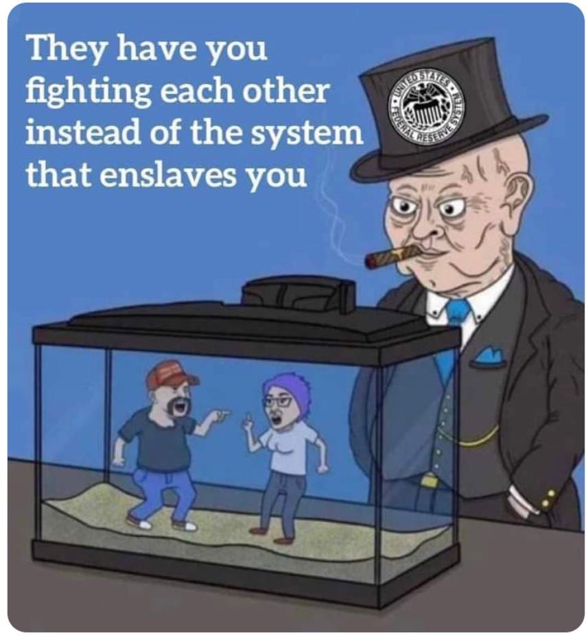 They Have You Fighting Each Other Instead of the System That Enslaves You
