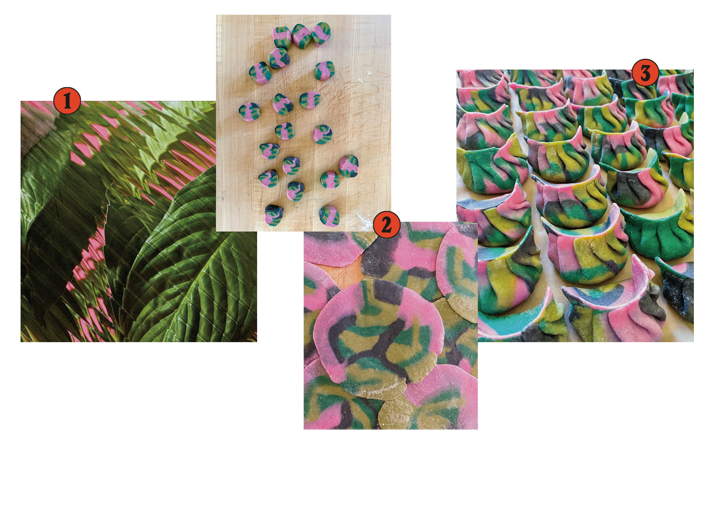 A collage of leaf wallpaper, dumpling dough inspired by the wallpaper, and finished dumplings
