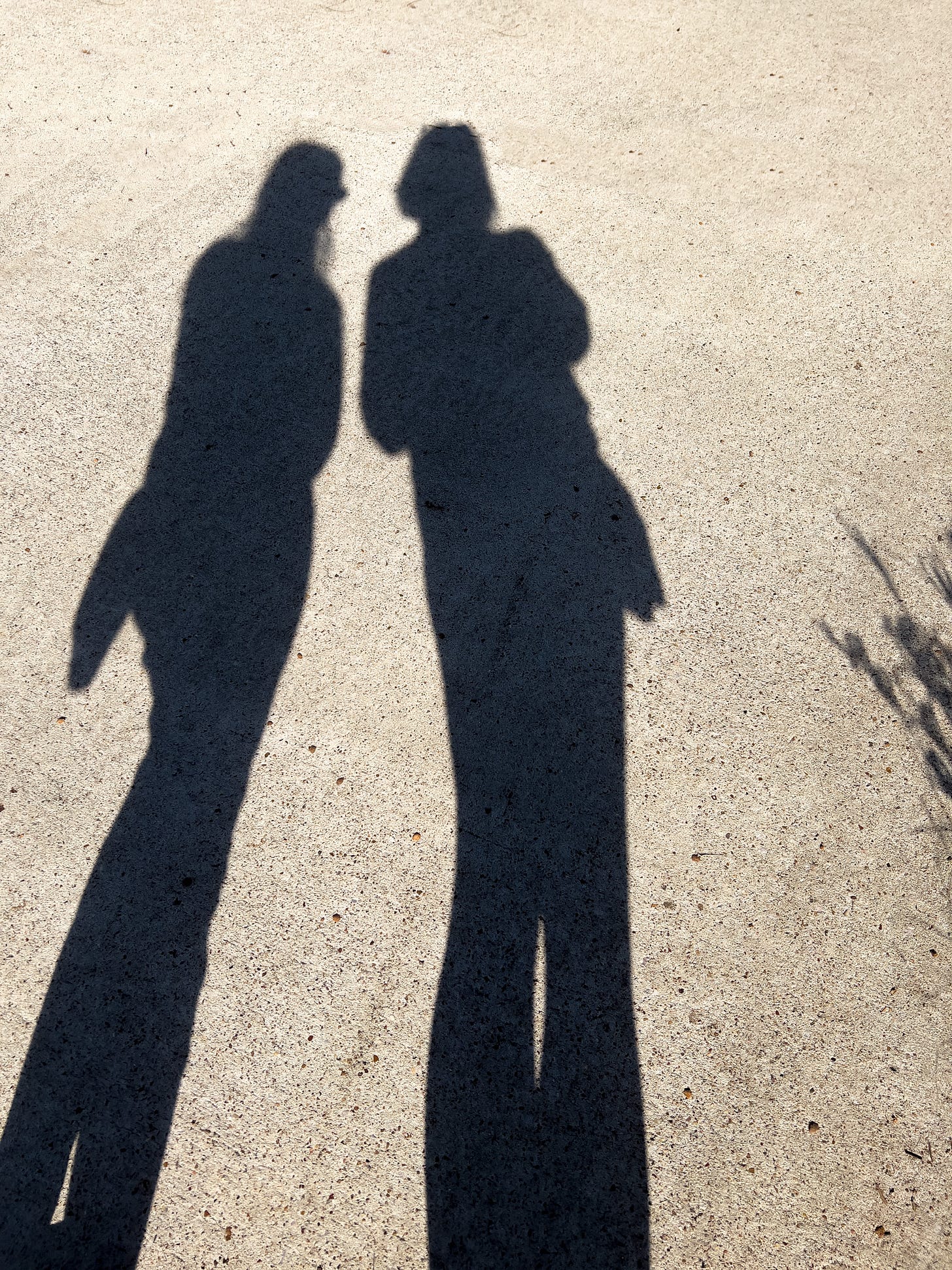Shadow of two women standing side-by-side