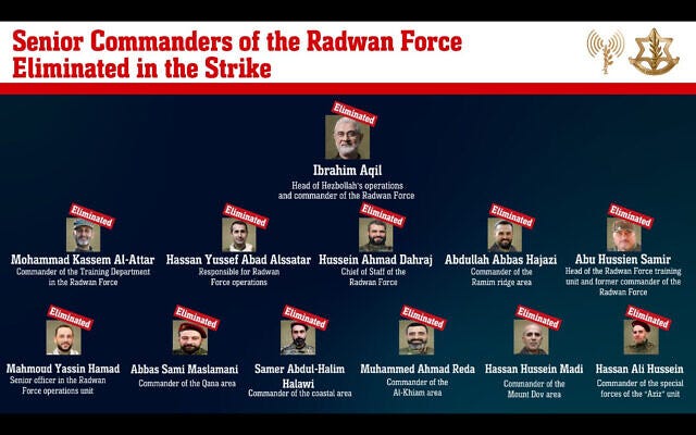 An IDF infographic shows senior commanders in Hezbollah's Radwan Force killed in a September 20, 2024 strike in Beirut. (Israel Defense Forces)