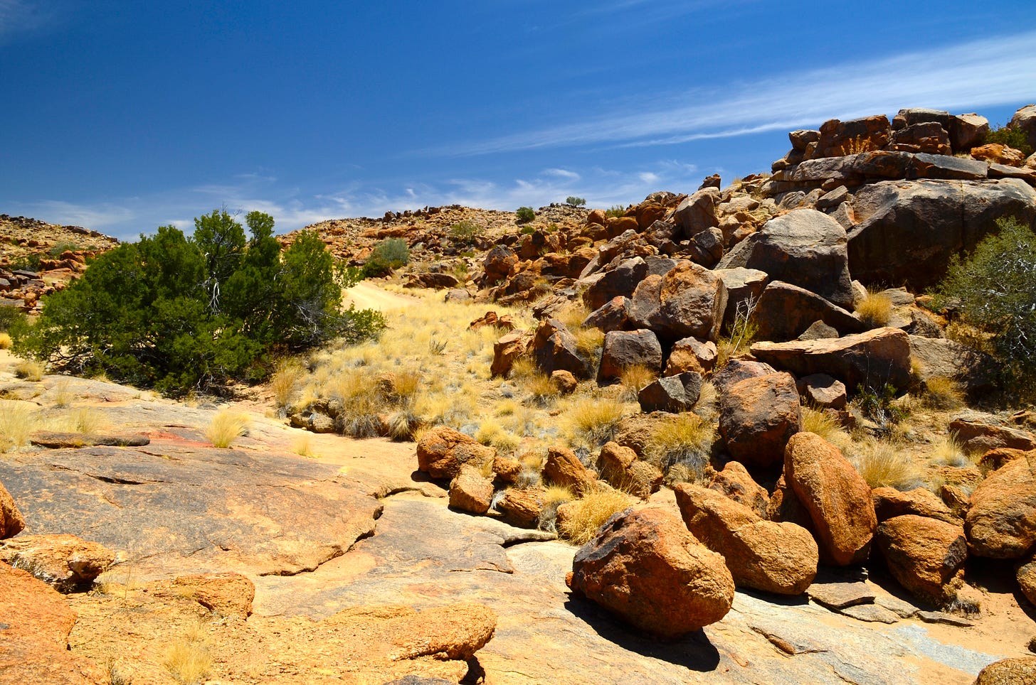 A wider landscape view of the rocky terrain under a vivid blue sky. The foreground is filled with dry, yellow grasses and scattered reddish-brown rocks, leading to a backdrop of large, rugged boulders piled atop one another. A few hardy bushes and small trees are scattered throughout, finding life among the rocks. The terrain is uneven and wild, showcasing the rugged beauty of the desert environment with a sense of quiet strength and resilience. A wider landscape view of the rocky terrain under a vivid blue sky. The foreground is filled with dry, yellow grasses and scattered reddish-brown rocks, leading to a backdrop of large, rugged boulders piled atop one another. A few hardy bushes and small trees are scattered throughout, finding life among the rocks. The terrain is uneven and wild, showcasing the rugged beauty of the desert environment with a sense of quiet strength and resilience.