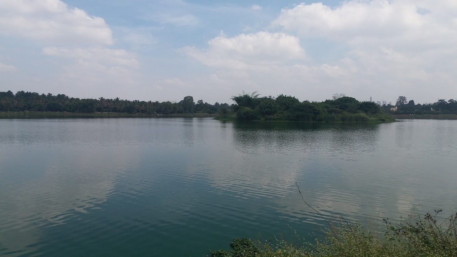 Biome Trust: Jakkur Lake Report