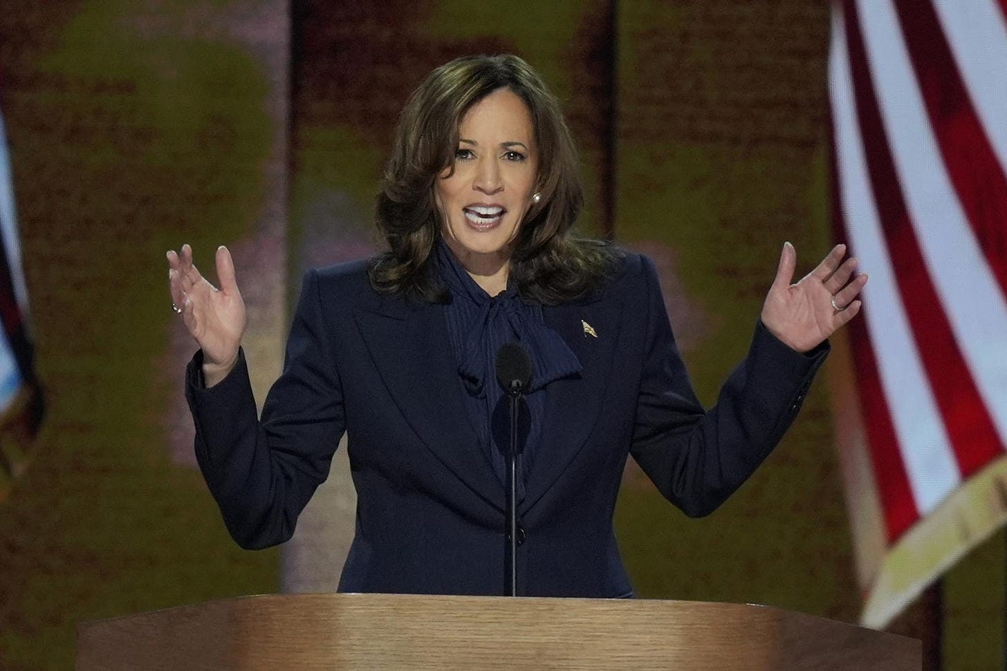 Vice President Kamala Harris called on Americans to join her to “chart a  new way forward” as she accepted the