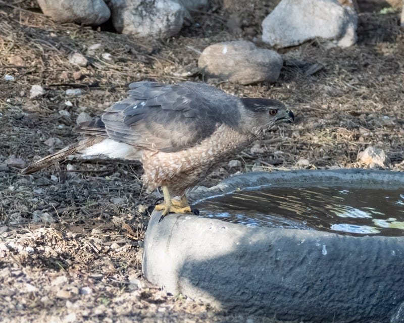 20240517-mby-29-Edit.jpg