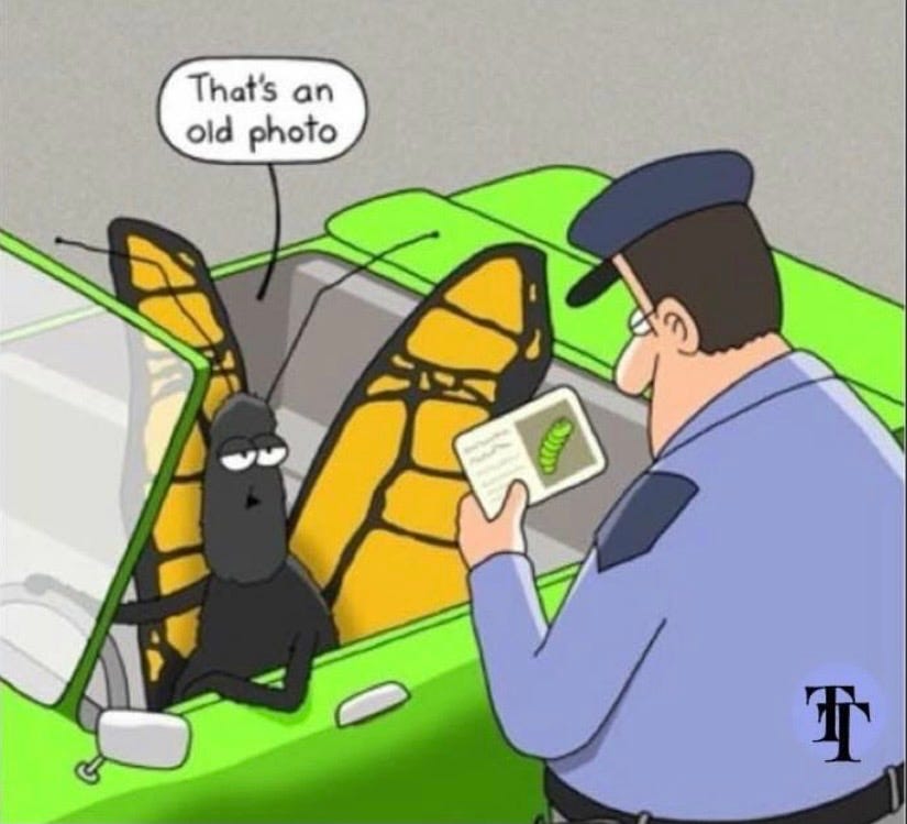 A cartoon of a person looking at a bug in a car

Description automatically generated