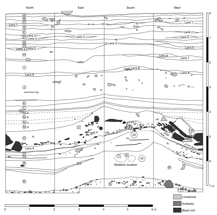 Liang Bua stratigraphy Morwood et al. 2004 Liang Bua stratigraphy Morwood et al. 2004