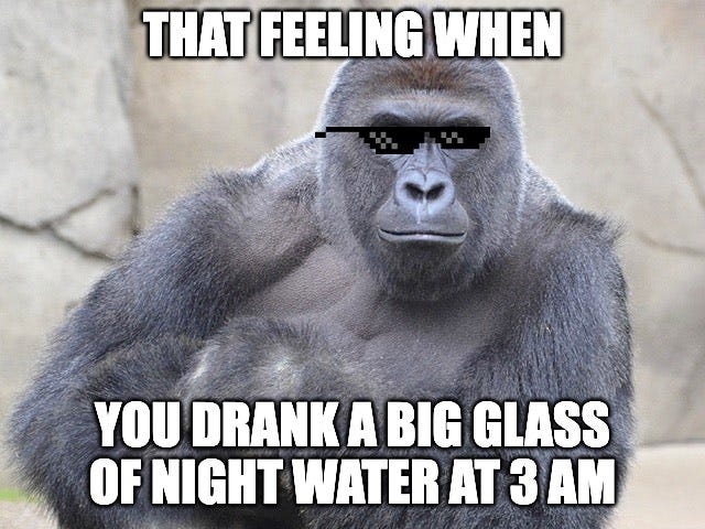 A gorilla wearing sunglasses, "that feeling when you drank a big glass of night water at 3 a.m." A gorilla wearing sunglasses, "that feeling when you drank a big glass of night water at 3 a.m."