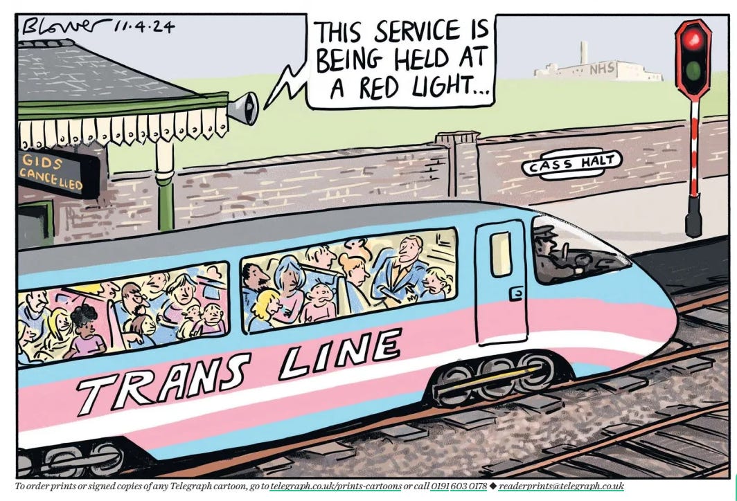 Telegraph cartoon, a train in trans colours full of people being held at a red light