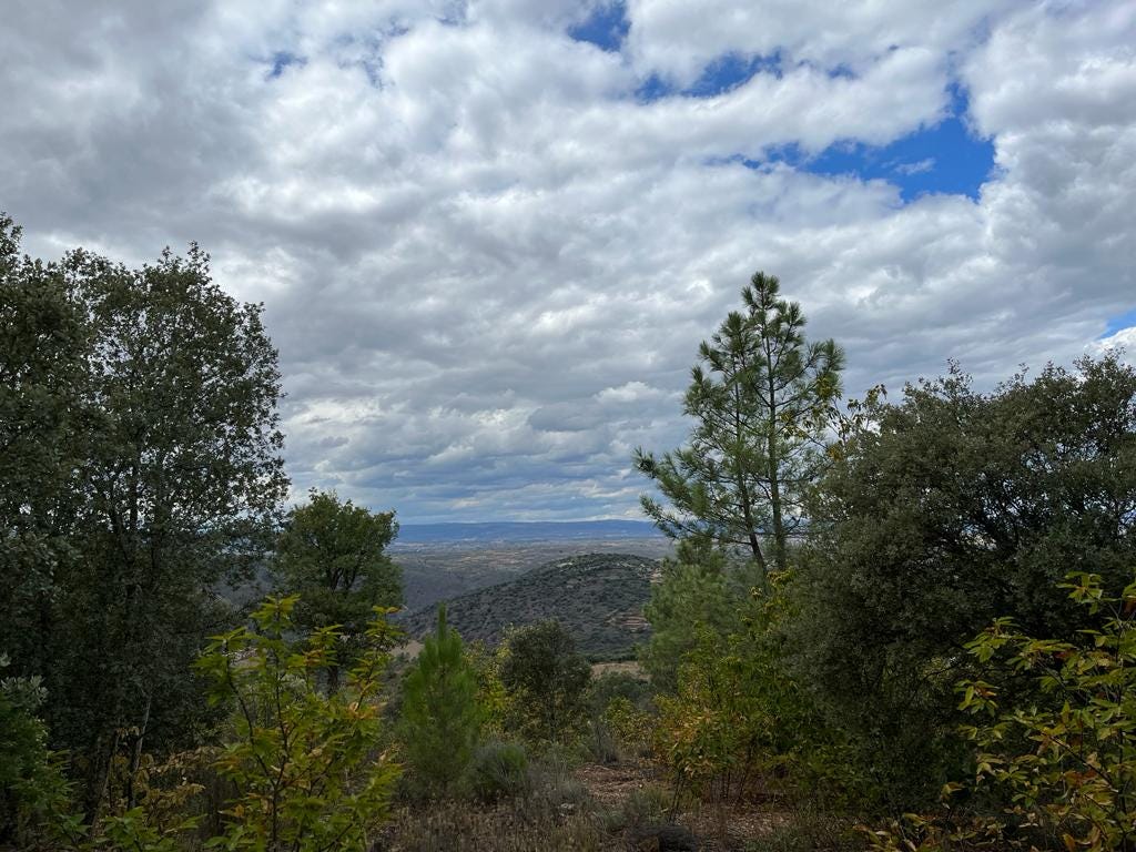 Perspective of the Land