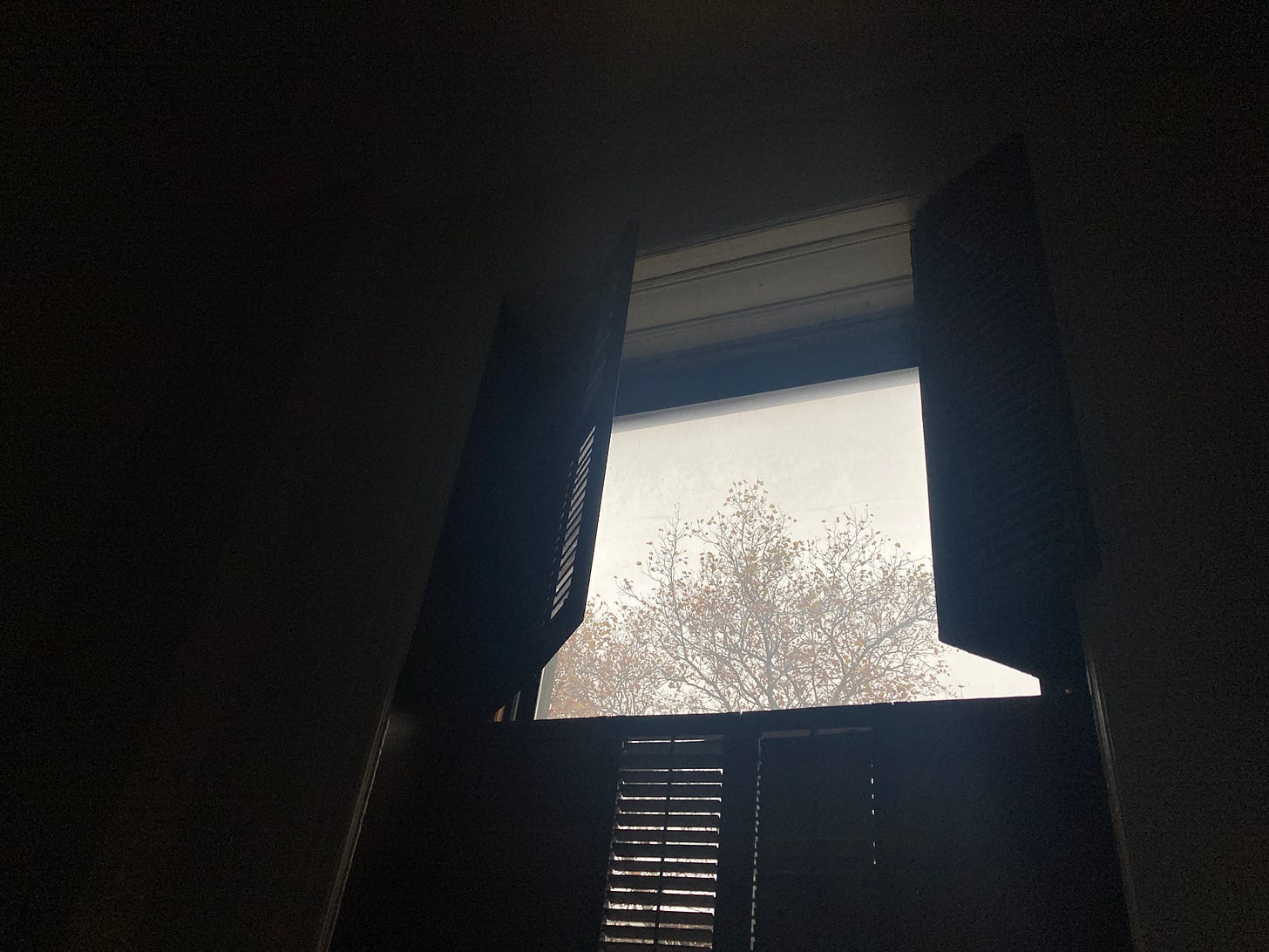 A window with shutters partially open, revealing a view of a bare tree against a cloudy sky.