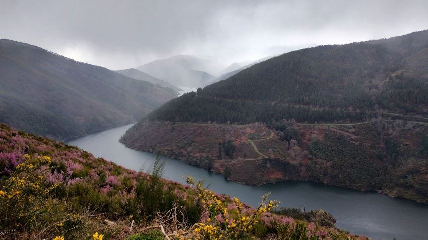 Etapa 6 del Camino Primitivo: Berducedo - Grandas de Salime