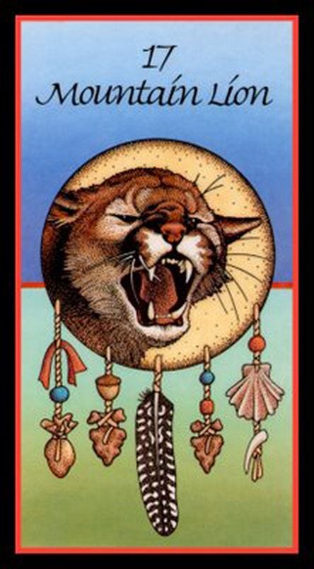 17. Mountain Lion (Leadership) - Medicine Card by Angela Werneke ...