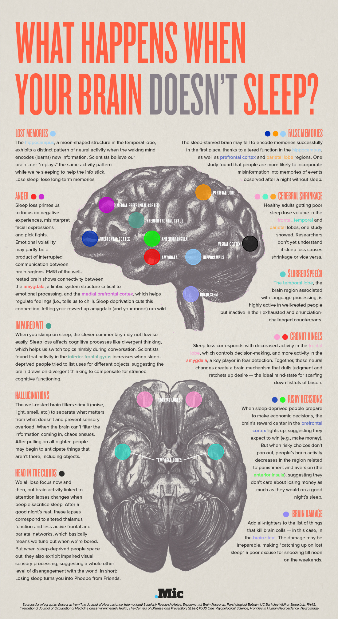 This Is Your Brain on Not Enough Sleep (Infographic)