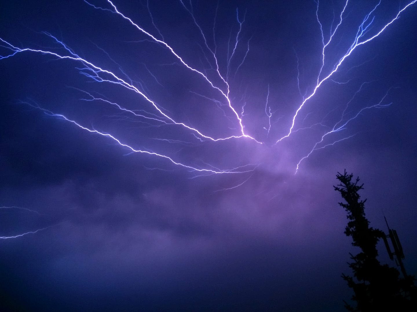 File:Lightning Storm (115334089).jpeg - Wikimedia Commons
