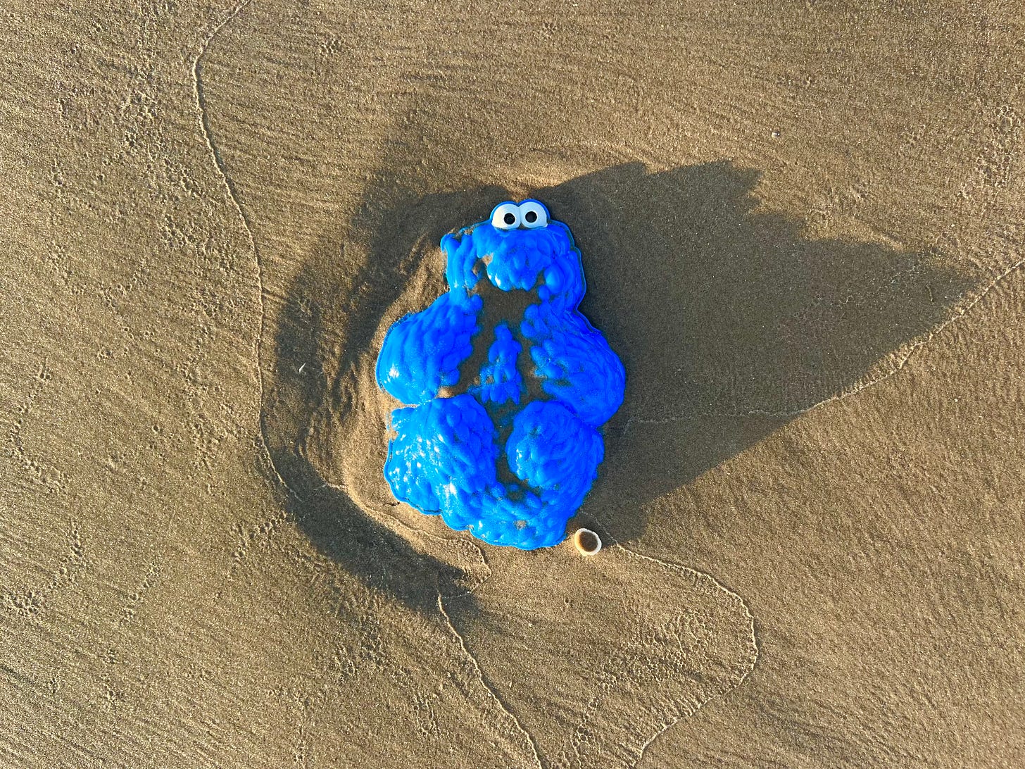 Cookie monster in the sand