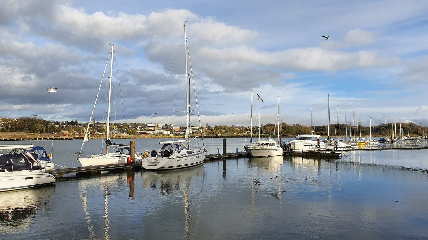 A view of the Waterford Harbour across the street from the Granville Hotel