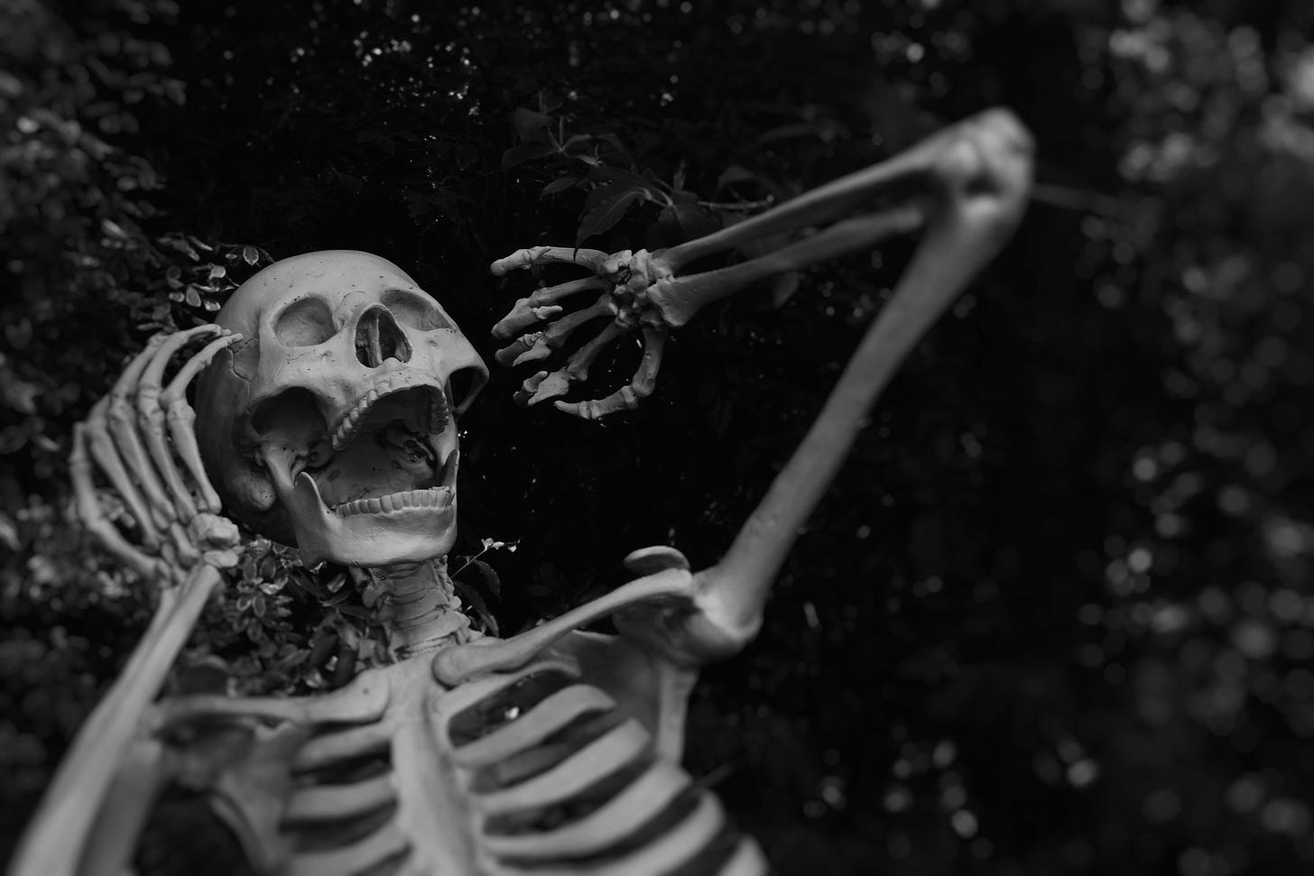 A plastic skeleton in black and white holds its arms near its head and opens its mouth as if screaming.