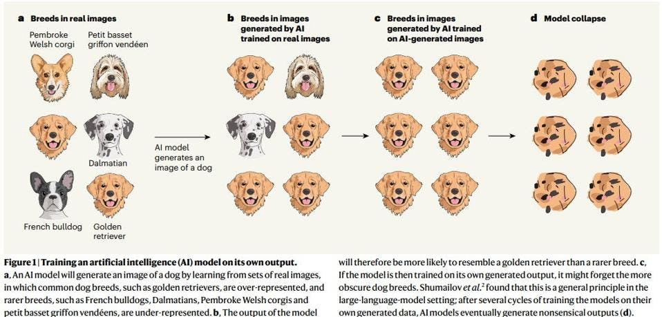 A group of six dog head images with an arrow to the right, it repeats til they're nonsense