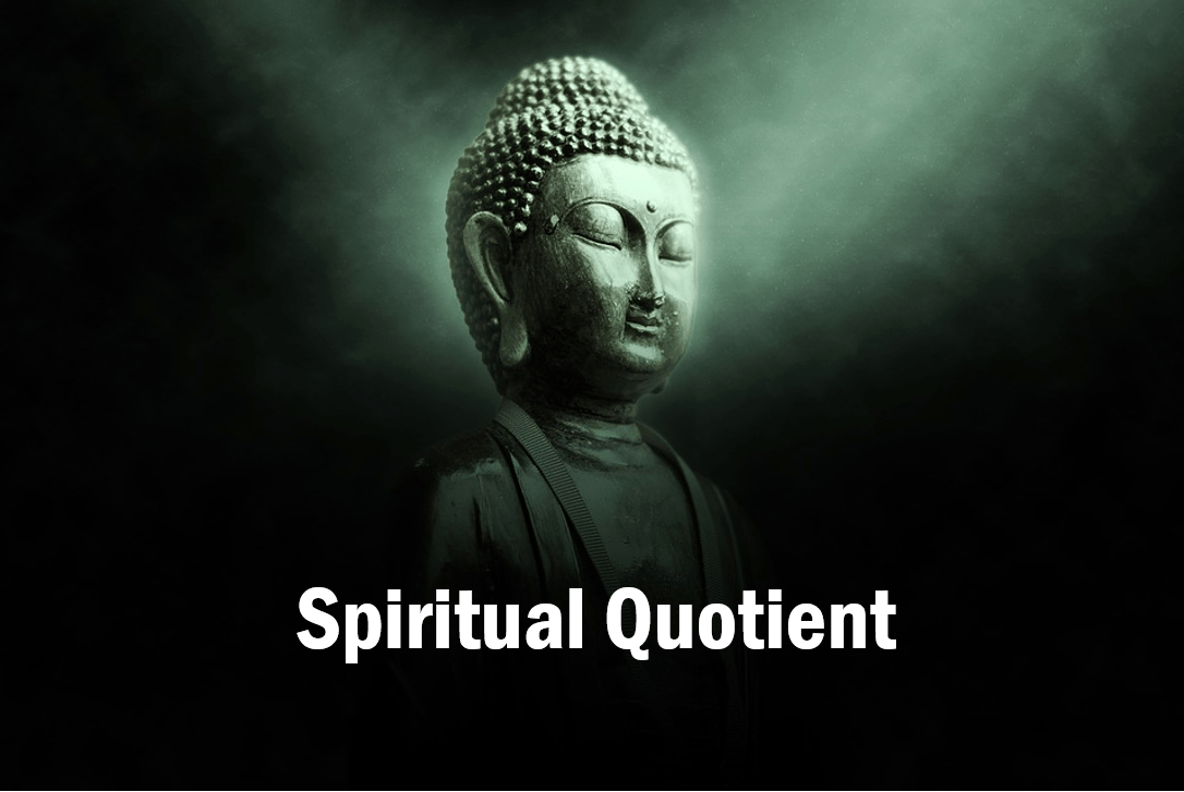 Spiritual Quotient of Good vs Ego