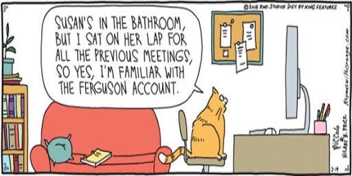 Cartoon! Orange cat sitting in office chair talking to a computer monitor, he says SUSAN’S IN THE BATHROOM, BUT I SAT ON HER LAP FOR ALL THE PREVIOUS MEETINGS, SO YES, I’M FAMILIAR WITH THE FERGUSON ACCOUNT.
