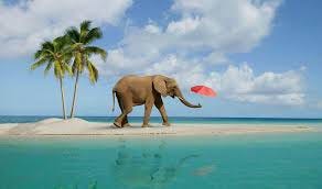 Elephant Beach Havelock Island Andaman - History, Things to do, Adventure  Activities