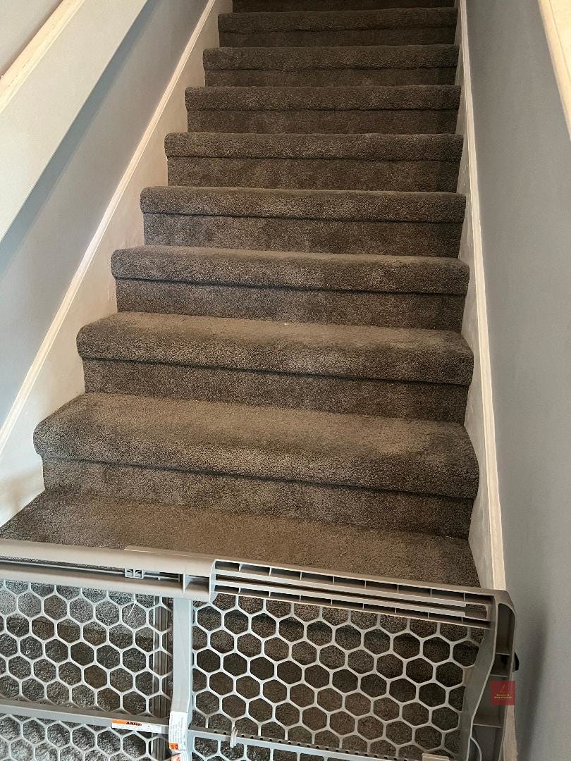 carpeted stairs with a baby gate at the bottom