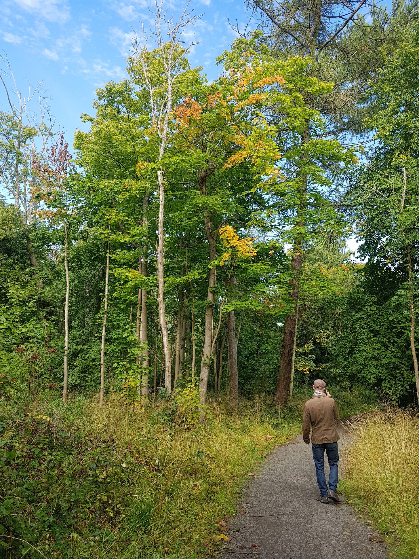 A man walks towards tall trees while talking on the phone. The leaves are beginning to change colour and the sky is bright blue.