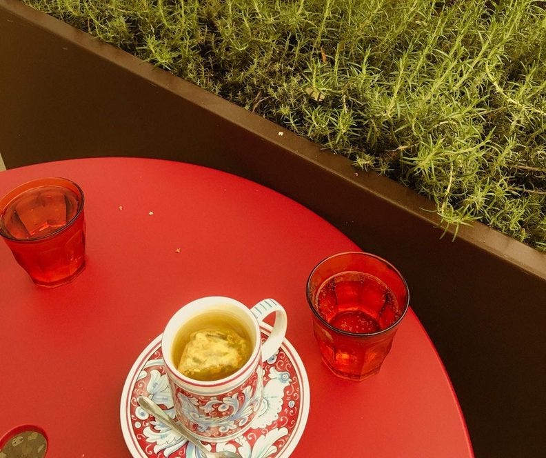 A cup of tea on a red table next to a planter filled with rosemary. Picture taken at a mall cafe.