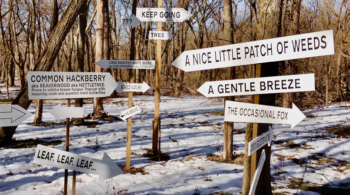 Signs in the woods pointing to various features such as "a gentle breeze" or "tree" or "the occasional fox"