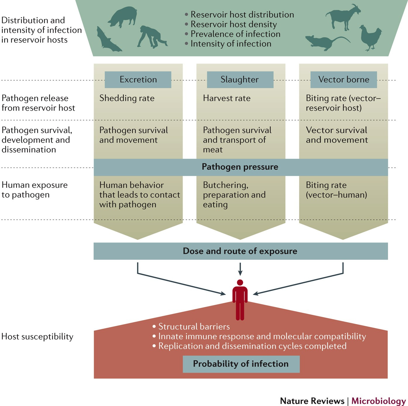 Figure 1 Figure 1